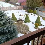 олекси *