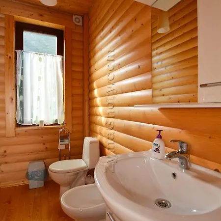 Villa олекси Skhidnytsia