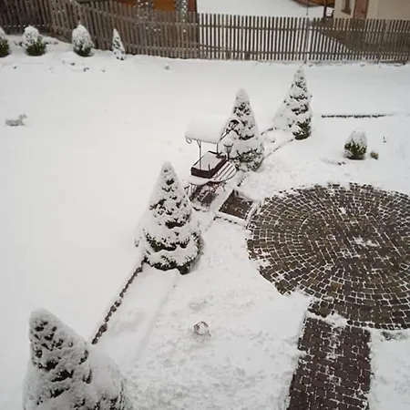 Villa олекси Skhidnytsia