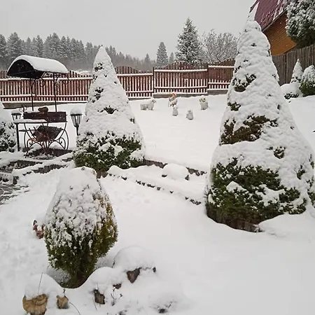 Vila олекси Skhidnytsia