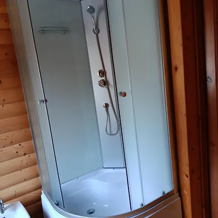 олекси Skhidnytsia