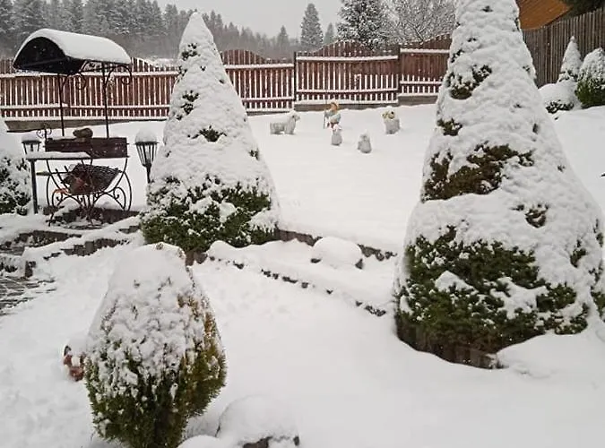فيلة олекси Skhidnytsia